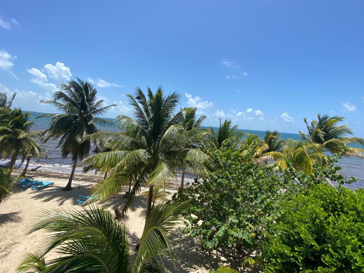 Tranquility Beach Suites Placencia Exteriör bild